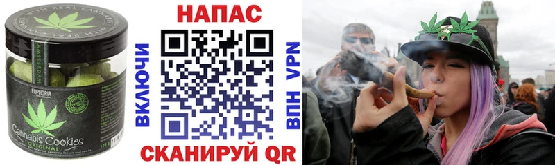MEGA зеркало Багратионовск Cannafood конопля