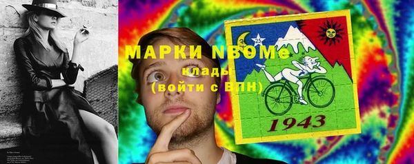 прущие грибы Армянск