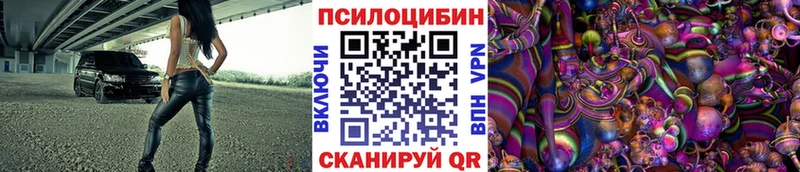 Галлюциногенные грибы Psilocybe  Багратионовск 